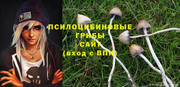 тгк Медвежьегорск