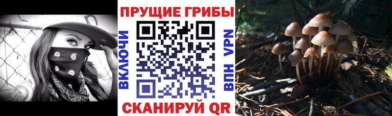 Псилоцибиновые грибы мухоморы  Сортавала 